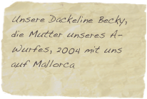 Unsere Dackeline Becky, die Mutter unseres A-Wurfes, 2004 mit uns auf Mallorca